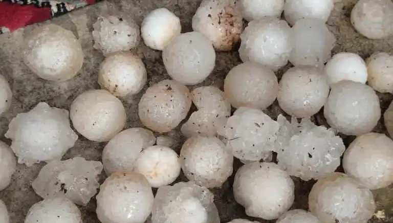 Şanlıurfa'da Kar Topu Büyüklüğünde Dolunun Etkisi