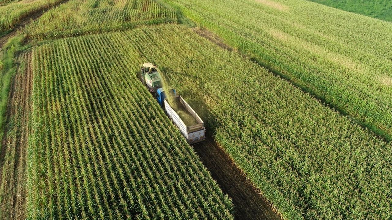 Üreticilere Yaklaşık 2,3 Milyar Lira Destekleme Ödemesi