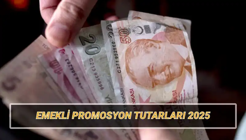 2025 Yılında Emekli Banka Promosyonları: Hangi Bankalar Daha Fazla Veriyor?