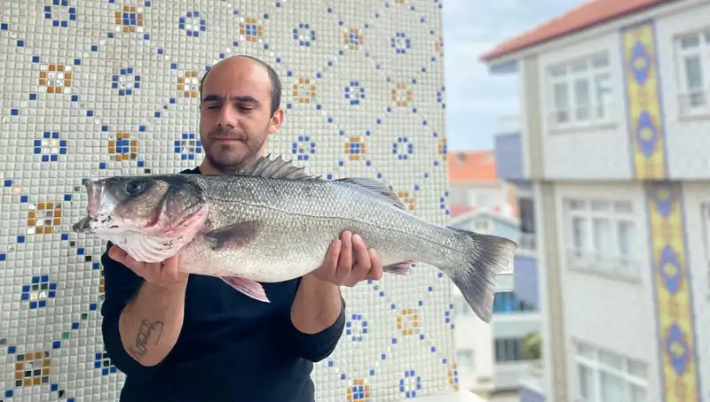 7,5 Kiloluk Dev Levrek, Balıkçıların Gözüne Çarptı!
