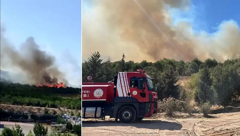 Gebze'de Olağanüstü Orman Yangını: Doğa ve Yaşam Tehlikede!