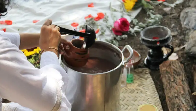 Ayahuasca: Gizemli Şifa ve Yasaklarla Dolu Bir İçecek