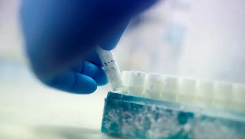 Tıbbi Felaket: Bir Sperm Donörü Binlerce Çocuğun Babası Oldu