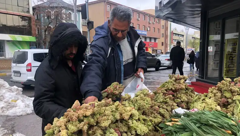 Kendiliğinden Yetişen Vitamin Deposunun Faydaları ve Kanserle Mücadele Gücü
