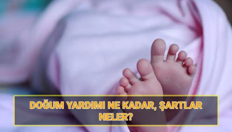 2025 Çocuk Parası İle İlgili Başvurular Başladı: Şartlar ve Miktar Nedir?