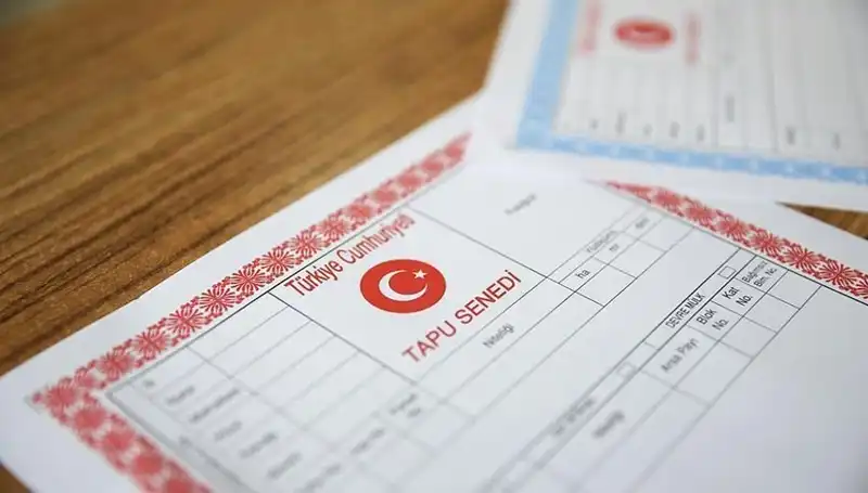Hisseli Tapu Tuzağı: 100 Milyonluk Dolandırıcılık Ağa Deşifre Edildi