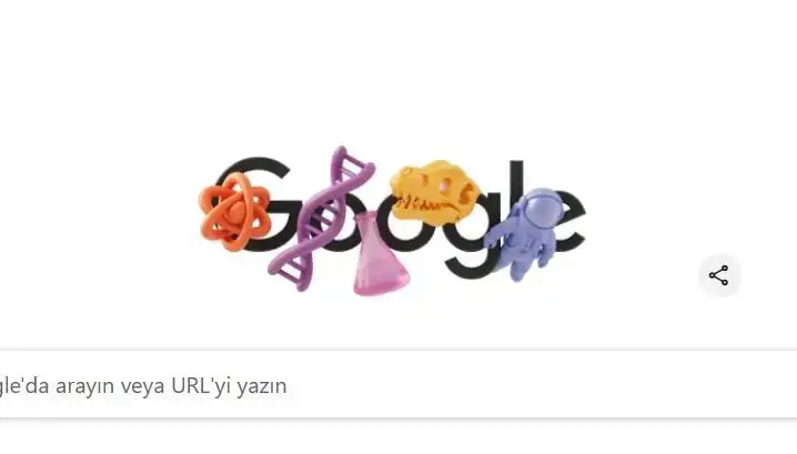 STEM Alanındaki Kadınlar: Doodle ile Öne Çıkan Başarı Hikayeleri