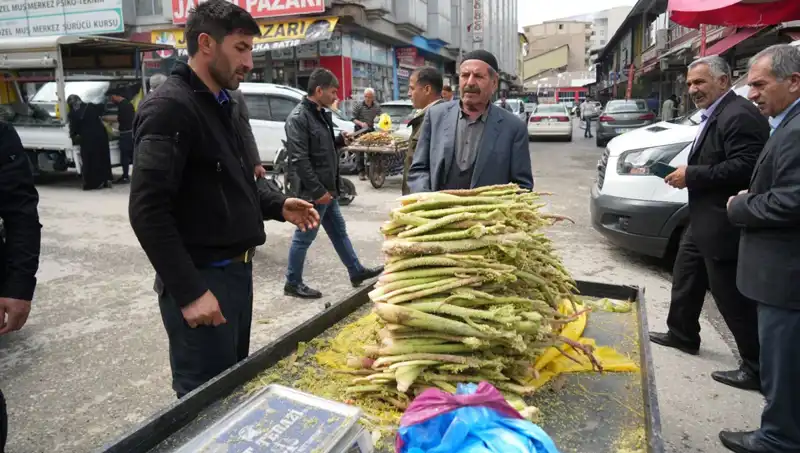Dağlık Alanda Toplanan Şekerin Sağlık Faydaları: Kanser ve Mide Hastalıklarına Etkisi