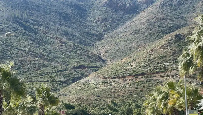 Marmaris Ormanları Yeniden Yeşeriyor: Yangın Sonrası Fidanlar Boy Attı