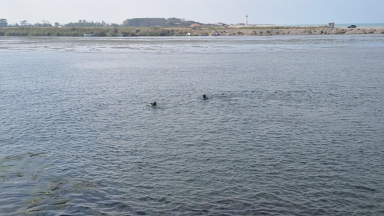 Kayık Alabora Oldu: Kayıp Balıkçı İçin Arama Çalışmaları Başlatıldı
