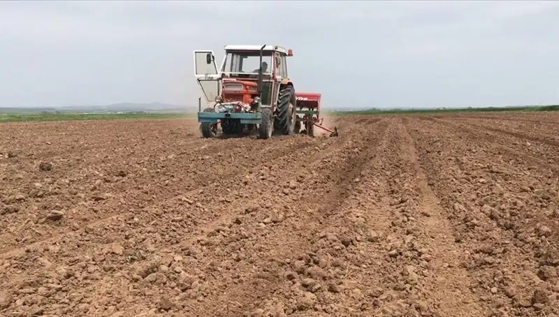 Son 35 Yılda Görülen En Kurak Mart Ayı: Ülke Sıcaklık Rekorları Kırıyor!