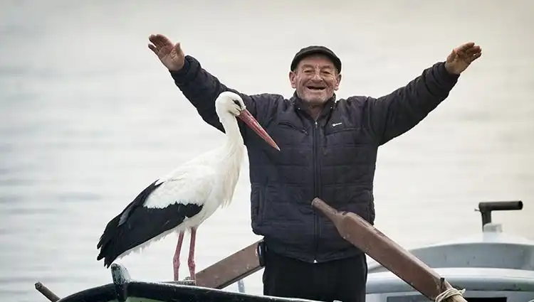 Doğa Fotoğrafçısı Alper Tüydeş'ten Yaren Leylek Müjdesi: Canlı Yayın Başladı!