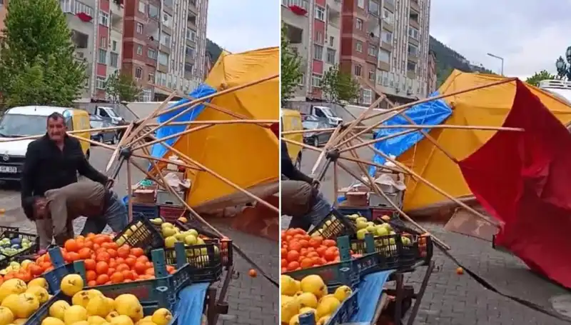 Artvin'de Şiddetli Fırtına Hayatı Olumsuz Etkiledi: Zararlar ve Önlemler