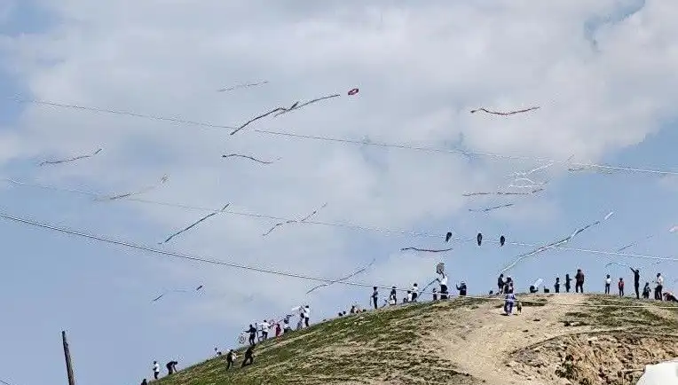Uçurtma Şöleni: Renkler ve Neşe Dolu Bir Gün