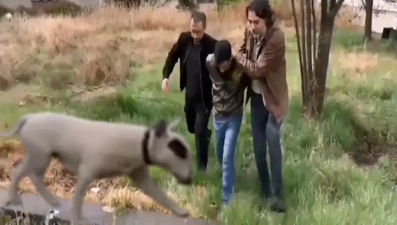 430 Bin Lira Değerindeki Şampiyon Köpeği Çalan Hırsızın Dramı: Adalet Yerini Buldu