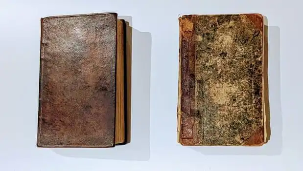 200 Yıllık Sır Ortaya Çıktı: Katilin Derisiyle Yapılan Kitap Müzede Sergileniyor