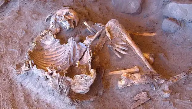 Yeni Mumya Keşfi: İnsanlığın Soy Ağacı Üzerindeki Şok Edici Değişim