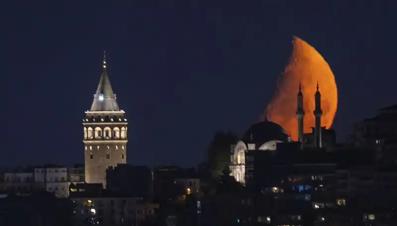 İstanbul'da Uğur Böceği Kıyameti: Yarım Ayın Büyüleyici Güzelliği