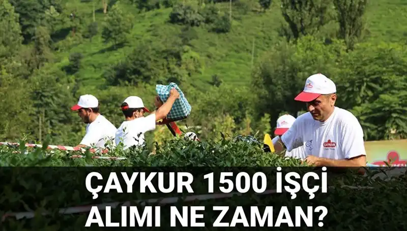 Çaykur İşçi Alımı Başvuru Tarihi Açıklandı! İşte Son Durum
