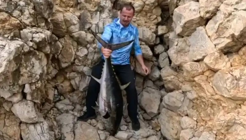 Saros’tan 30 Kilo Ağırlığında Dev Balık Çıkarıldı!