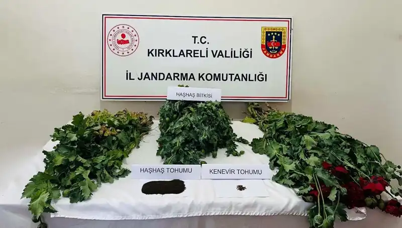 Kırklareli’nde Uyuşturucu Operasyonu: 8 Kişi Gözaltında!