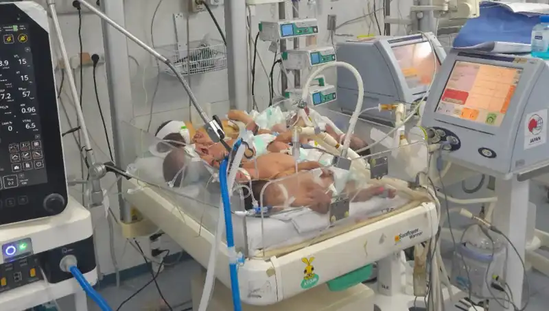 Gazzeli Doktorlar Çaresiz: Sağlık Krizi Bebekleri Aynı Kuvözde Büyütüyor