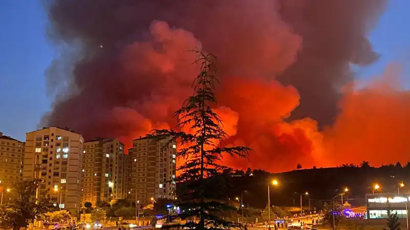 Bursa'da Yangın Alarmı: Şehirdeki Yangınlar Neden Artıyor?