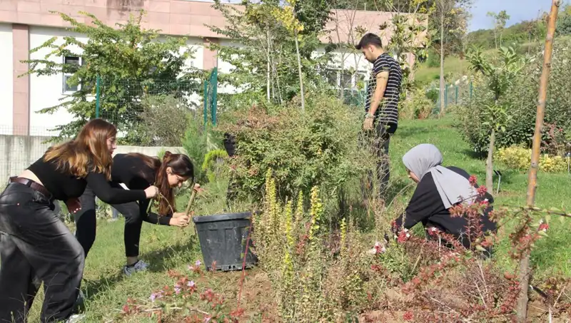 Kökleri Düzce'den Gelen Hayal, Dünya Çapında Gerçek Oldu!