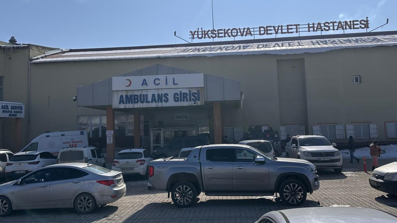 Başıboş köpeklerin saldırısıyla ölen çocuk olayında inceleme başlatıldı