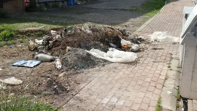 Antalya'da Gizemli Kedi Ölümleri: Hayvanseverleri Harekete Geçiren Vahşet