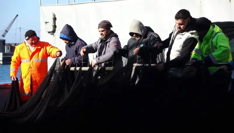 Hamsi Avında Şok Gelişme: Balıkçılar Erken Sezonu Kapattı!