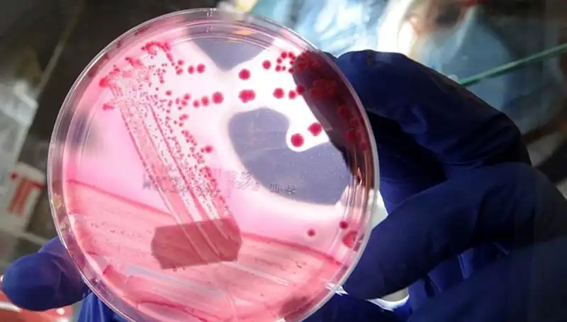 Yaşlanmayı Unutturan Keşif: AP2A1 Proteininin Sırrı Nedir?